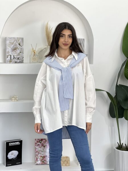 Color Block Striped Long Sleeve Shirt WO-1320