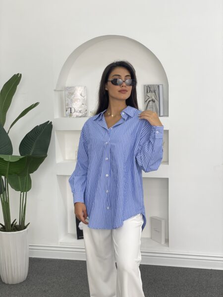 Classic Striped Button-Down Shirts WO-1369