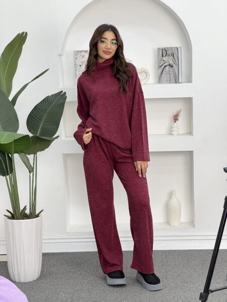 2pcs Women Solid Color Stand Collar Long Sleeve Minimal Top And Pants Set WOS143