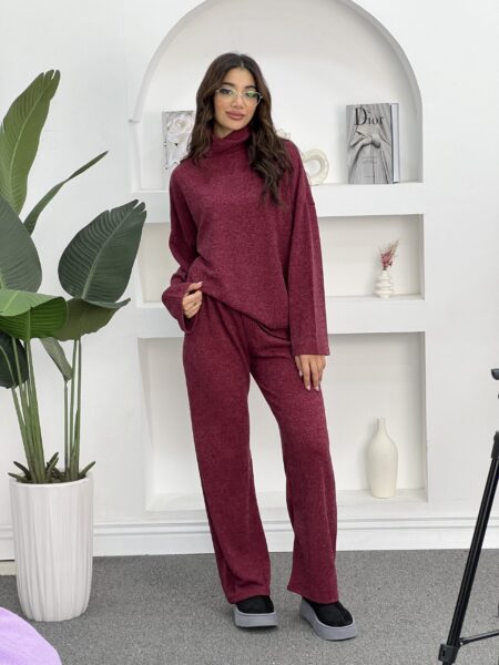 2pcs Women Solid Color Stand Collar Long Sleeve Minimal Top And Pants Set WOS143