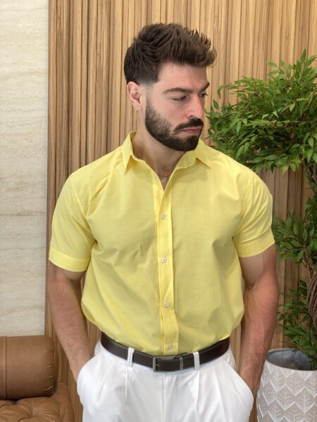Classic short sleeve shirt MENC220