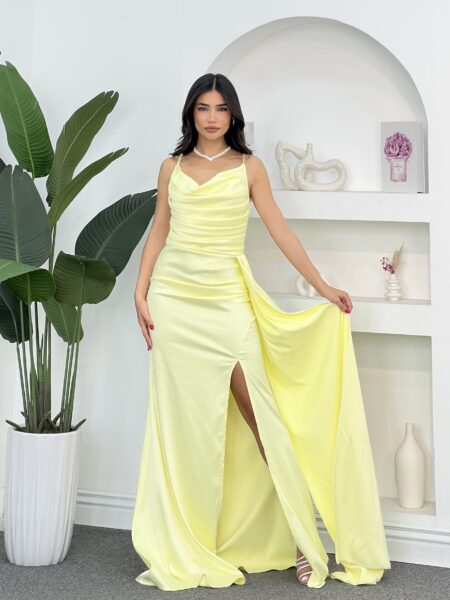 Elegant Long Dress WOD405