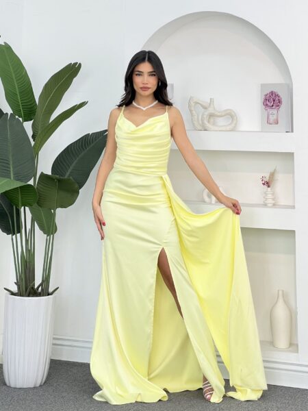 Elegant Long Dress WOD405