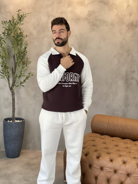 Men Casual Letter Graphic Half Zip Drop Shoulder Loose Sweatshirt MENS146